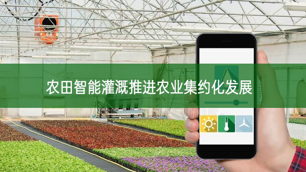 農田智能灌溉推進農業集約化發展