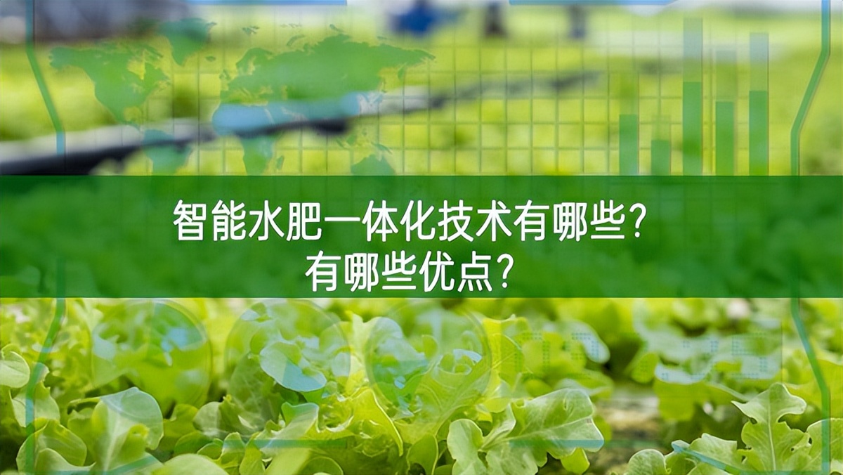 智能水肥一體化技術有哪些？有哪些優點？