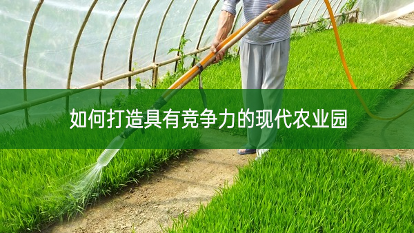 如何打造具有競爭力的現(xiàn)代農業(yè)園