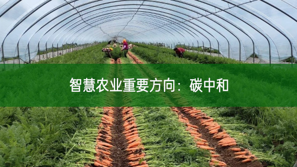 智慧農(nóng)業(yè)重要方向:碳中和