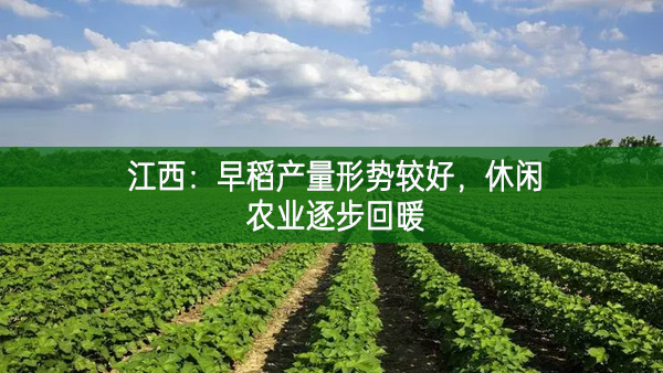 江西:早稻產(chǎn)量形勢較好 休閑農(nóng)業(yè)逐步回暖