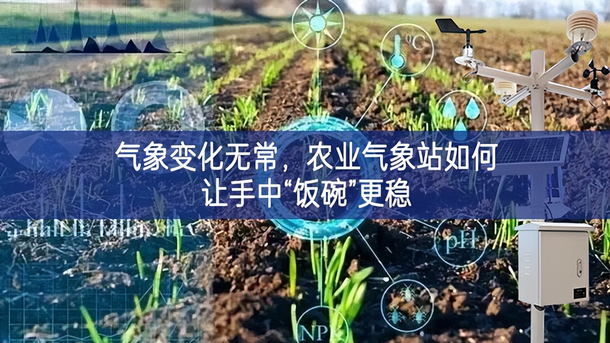 氣象變化無常，農業氣象站如何讓手中“飯碗”更穩