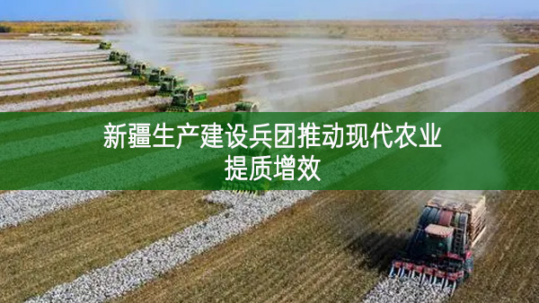 新疆生產建設兵團推動現代農業提質增效