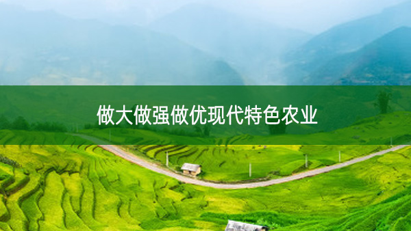 做大做強做優(yōu)現(xiàn)代特色農業(yè)