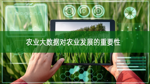 農業(yè)大數(shù)據(jù)對農業(yè)發(fā)展的重要性