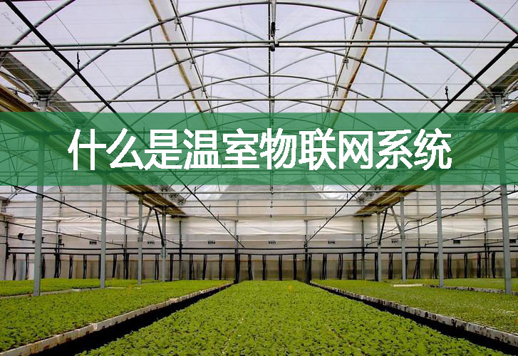 什么是溫室物聯(lián)網(wǎng)系統(tǒng)
