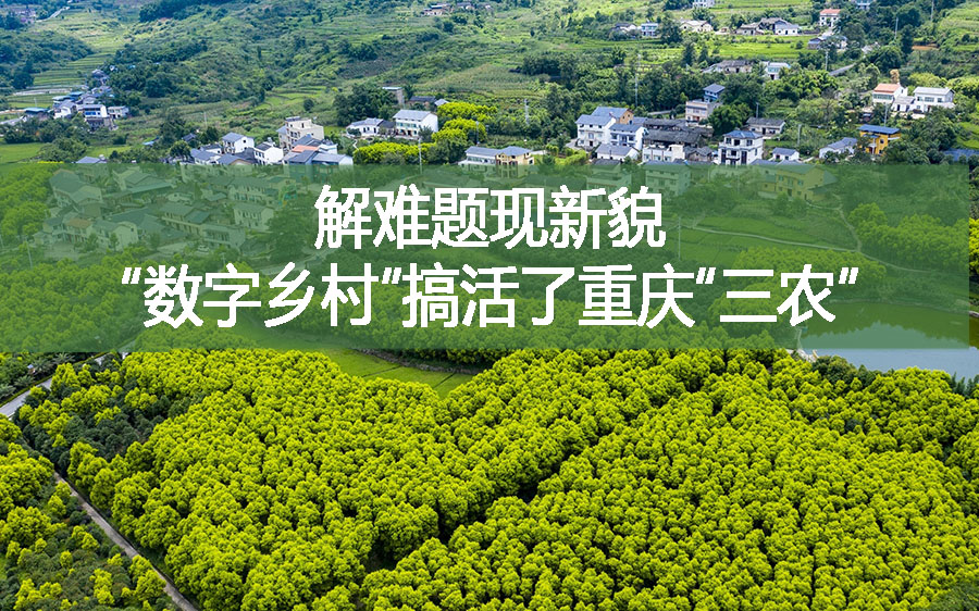 解難題現(xiàn)新貌，“數(shù)字鄉(xiāng)村”搞活了重慶“三農(nóng)”