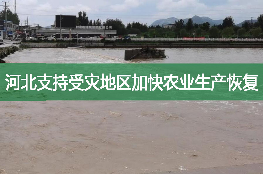河北支持受災地區加快農業生產恢復