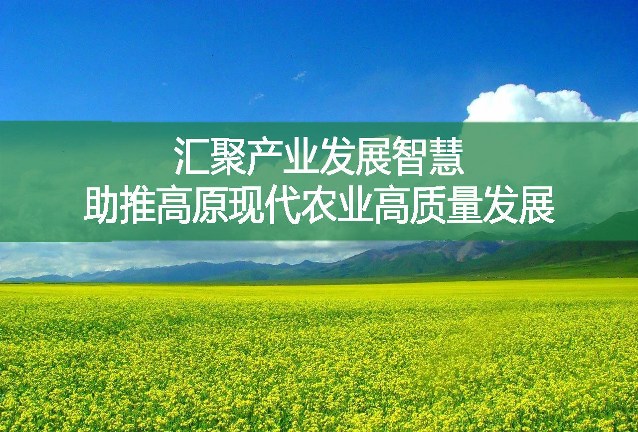 匯聚產業發展智慧 助推高原現代農業高質量發展