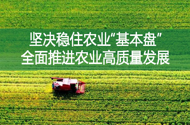 堅決穩(wěn)住農(nóng)業(yè)“基本盤” 全面推進(jìn)農(nóng)業(yè)高質(zhì)量發(fā)展