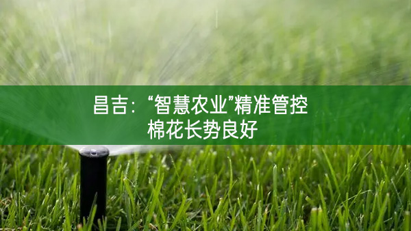 昌吉：“智慧農(nóng)業(yè)”精準(zhǔn)管控 棉花長勢良好