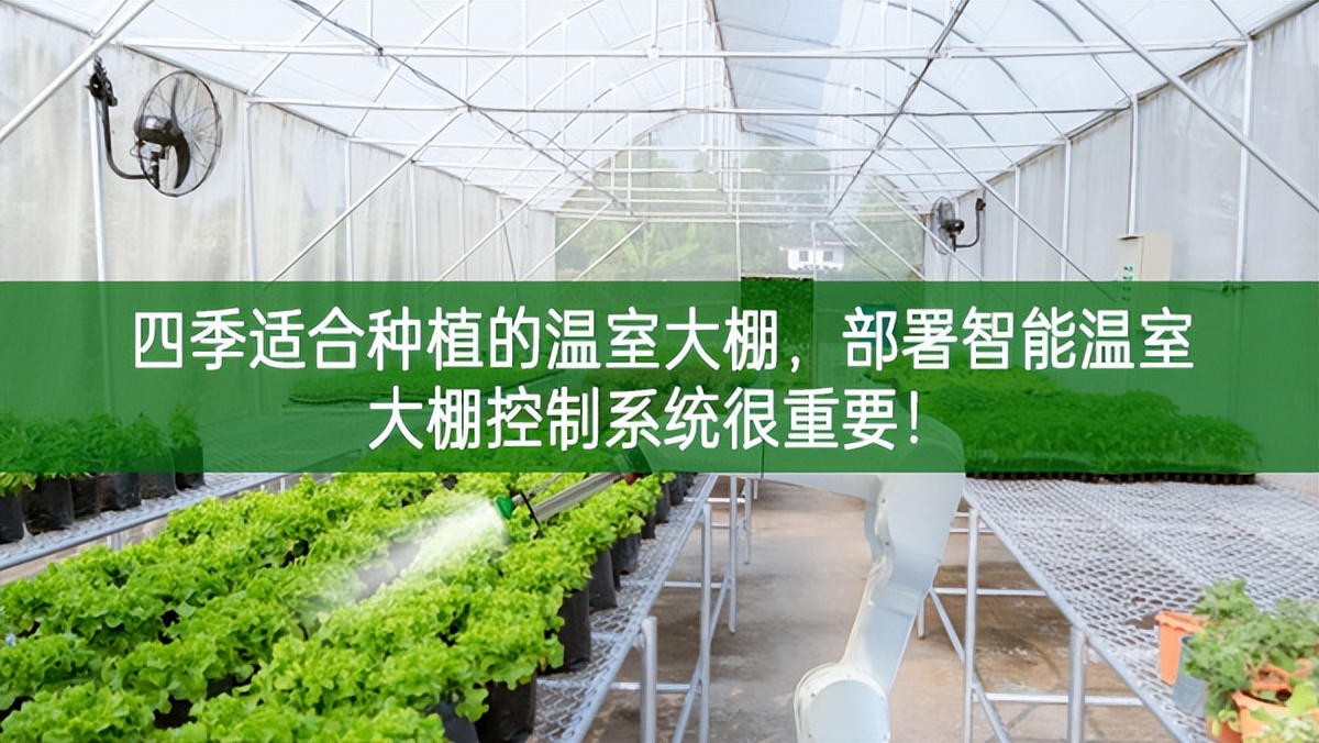 四季適合種植的溫室大棚，部署智能溫室大棚控制系統很重要!