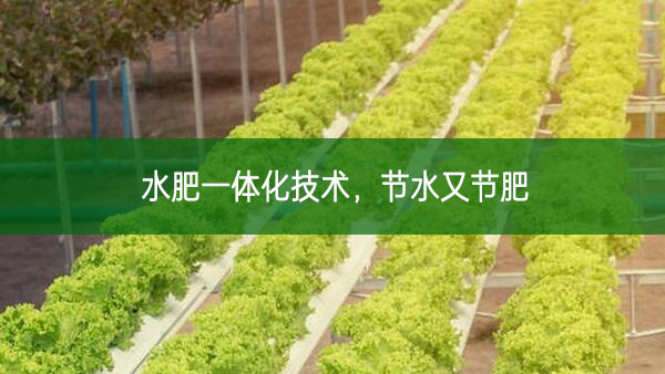 水肥一體化技術，節水又節肥