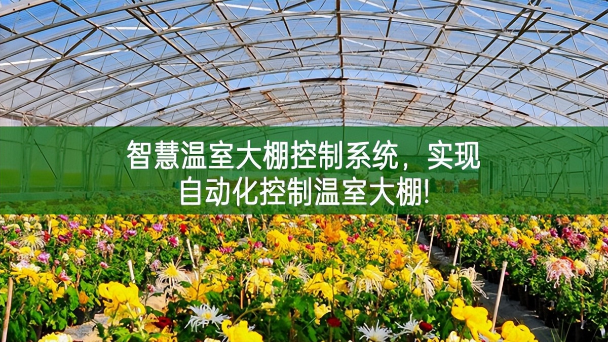 智慧溫室大棚控制系統，實現自動化控制溫室大棚!