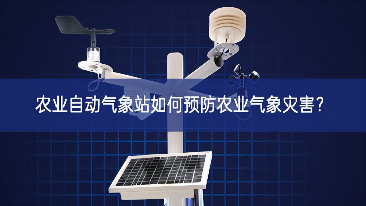 農業自動氣象站如何預防農業氣象災害?