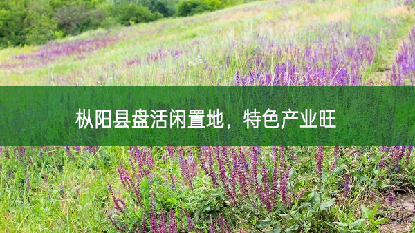 樅陽縣盤活閑置地，特色產(chǎn)業(yè)旺