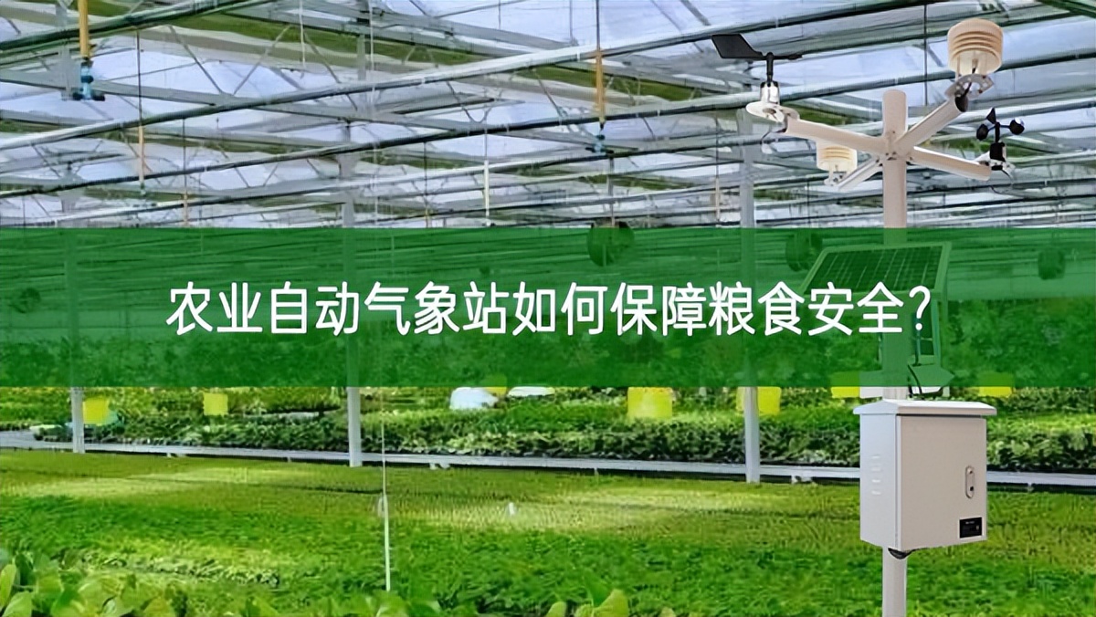 農(nóng)業(yè)自動氣象站如何保障糧食安全？