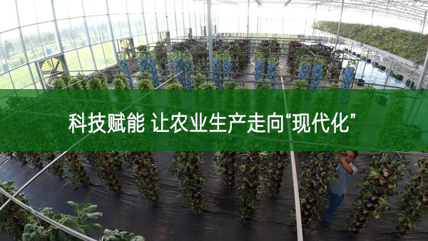 科技賦能 讓農(nóng)業(yè)生產(chǎn)走向“現(xiàn)代化”