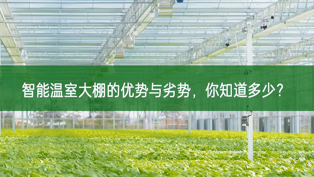 智能溫室大棚的優勢與劣勢，你知道多少?