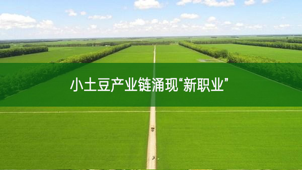 小土豆產業(yè)鏈涌現“新職業(yè)”