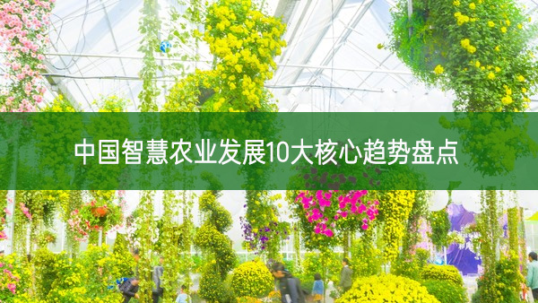 中國(guó)智慧農(nóng)業(yè)發(fā)展10大核心趨勢(shì)盤(pán)點(diǎn)
