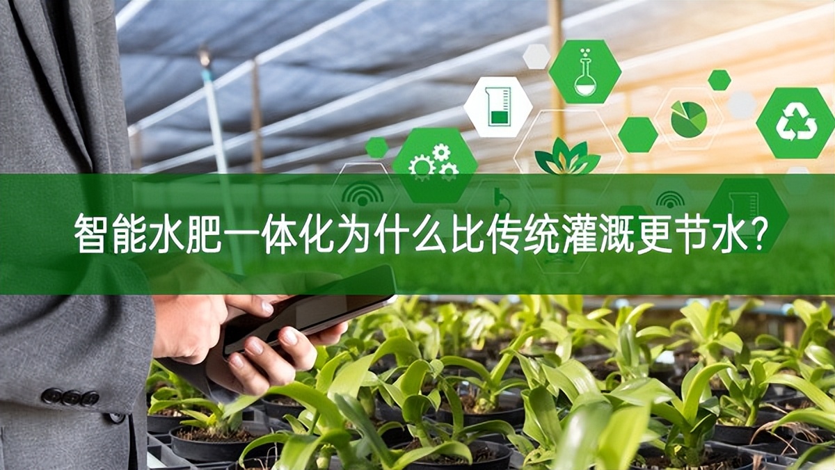 智能水肥一體化為什么比傳統(tǒng)灌溉更節(jié)水?