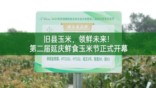 舊縣玉米，領鮮未來！第二屆延慶鮮食玉米節正式開幕