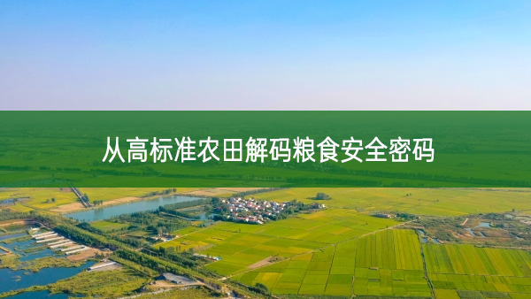 從高標(biāo)準(zhǔn)農(nóng)田解碼糧食安全密碼