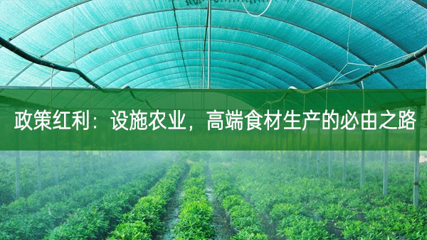 政策紅利：設施農業和高端食材生產的必由之路