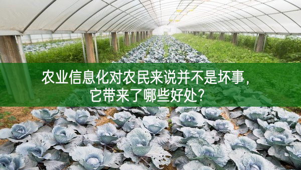 農(nóng)業(yè)信息化對農(nóng)民來說并不是壞事，它帶來了哪些好處?