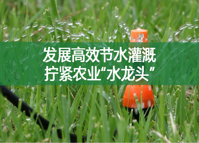 發展高效節水灌溉，擰緊農業“水龍頭”
