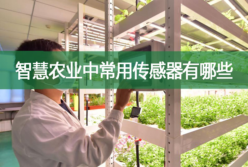 智慧農(nóng)業(yè)中常用傳感器有哪些?