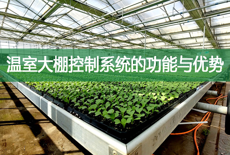 溫室大棚控制系統(tǒng)的功能與優(yōu)勢(shì)