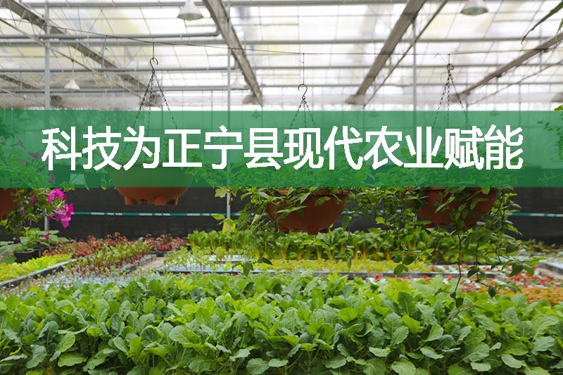 科技為正寧縣現(xiàn)代農(nóng)業(yè)賦能