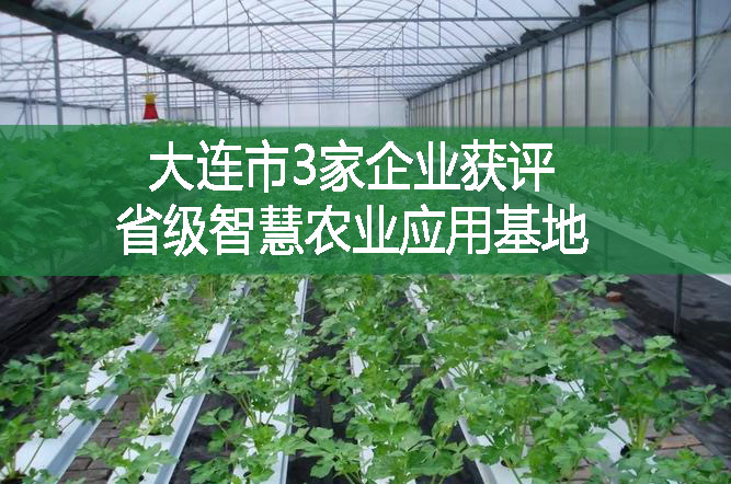 大連市3家企業(yè)獲評(píng)省級(jí)智慧農(nóng)業(yè)應(yīng)用基地