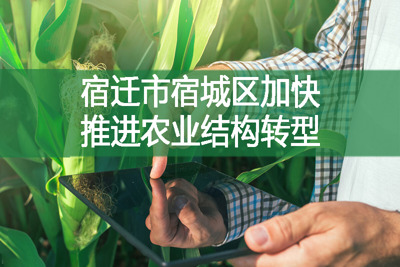 宿遷市宿城區加快推進農業結構轉型