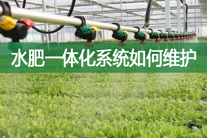 水肥一體化系統如何維護