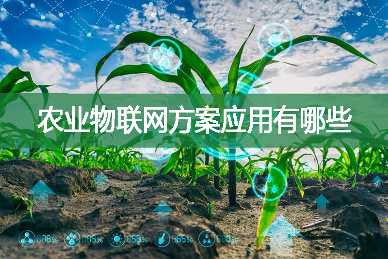 農業物聯網方案應用有哪些