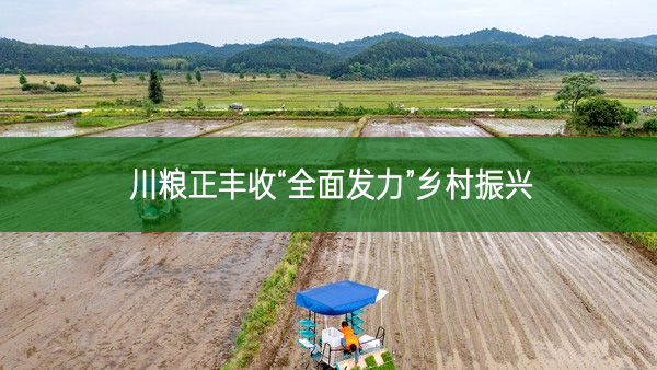 川糧正豐收“全面發力”鄉村振興