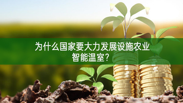 為什么國家要大力發展設施農業智能溫室？