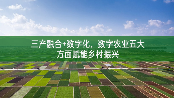 三產融合+數字化，數字農業五大方面賦能鄉村振興
