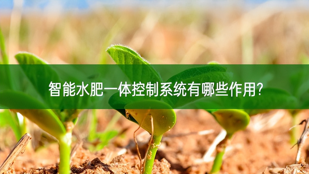 智能水肥一體控制系統有哪些作用?
