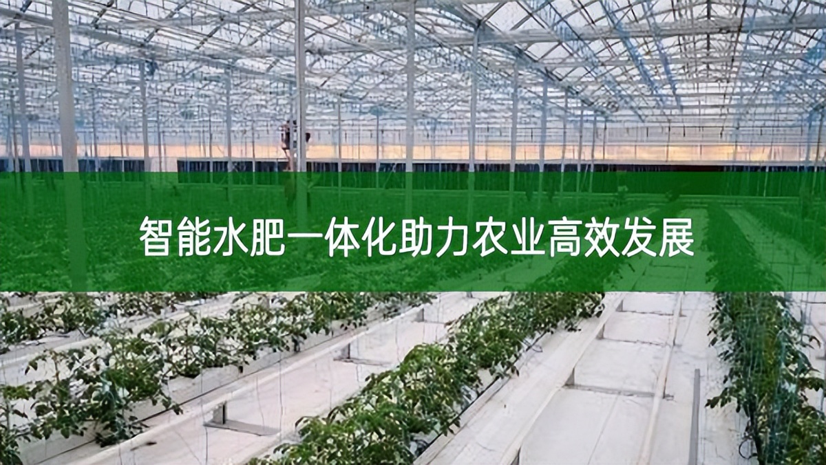 智能水肥一體化助力農(nóng)業(yè)高效發(fā)展