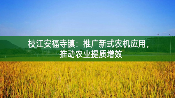 枝江安福寺鎮：推廣新式農機應用，推動農業提質增效