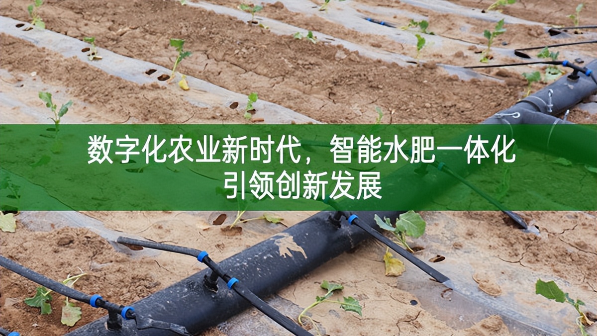 數字化農業新時代，智能水肥一體化引領創新發展