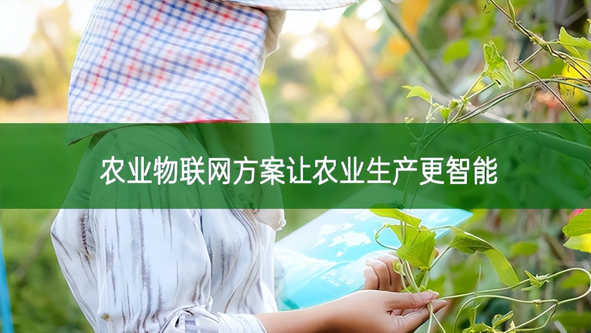 農業物聯網方案讓農業生產更智能