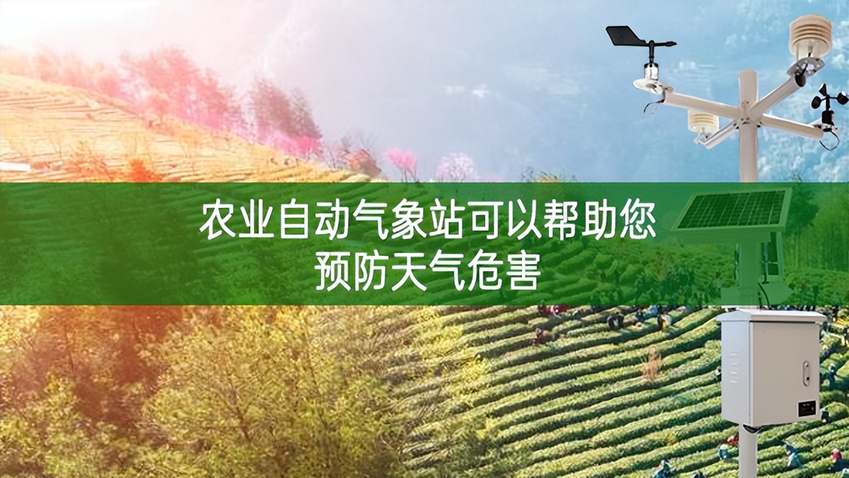農業自動氣象站可以幫助您預防天氣危害