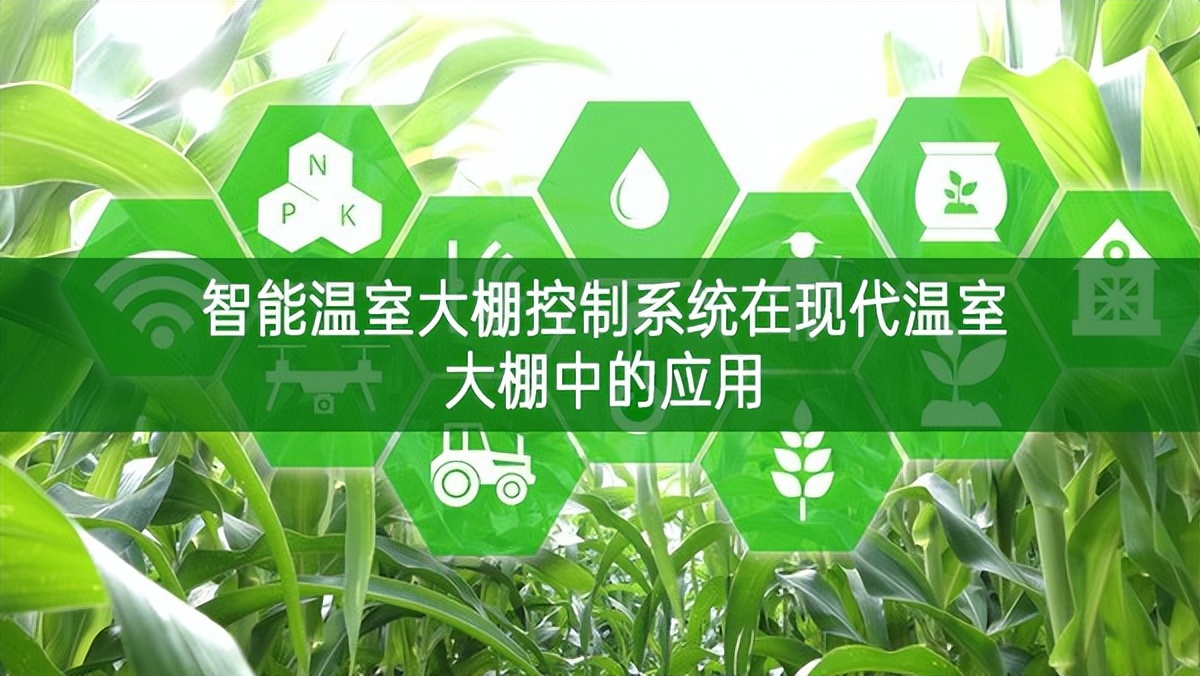 智能溫室大棚控制系統在現代溫室大棚中的應用