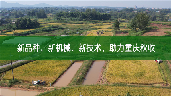 新品種 新機(jī)械 新技術(shù) 助力重慶秋收