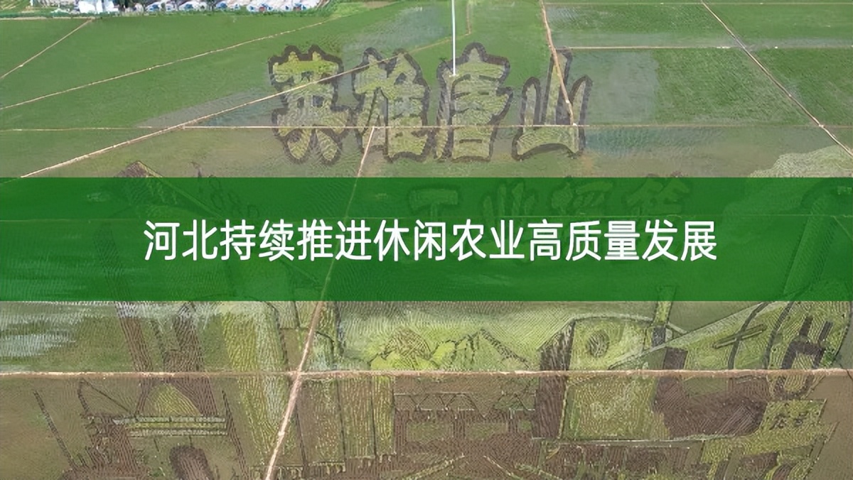 河北持續(xù)推進(jìn)休閑農(nóng)業(yè)高質(zhì)量發(fā)展